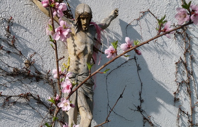 Aufblühen in Christus